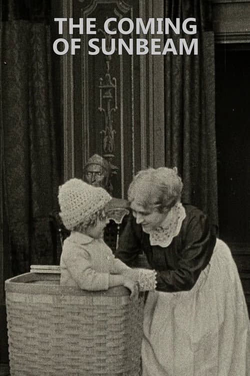 The Coming of Sunbeam (1913) poster
