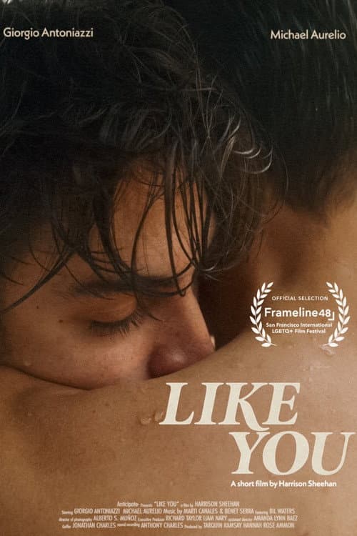 Like You (2024) poster