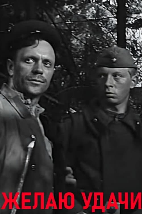 Желаю удачи (1968) poster