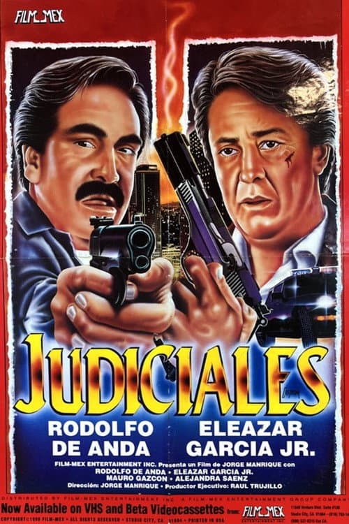 Aventuras de judiciales (1989) poster