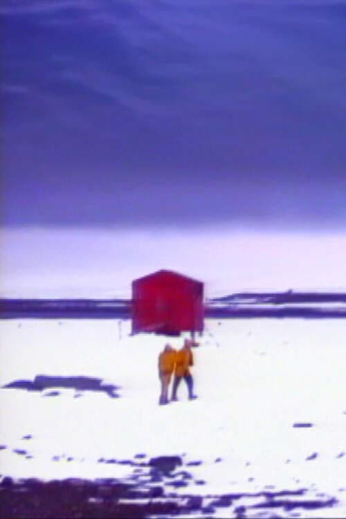 Voyage d'hiver (1993) poster