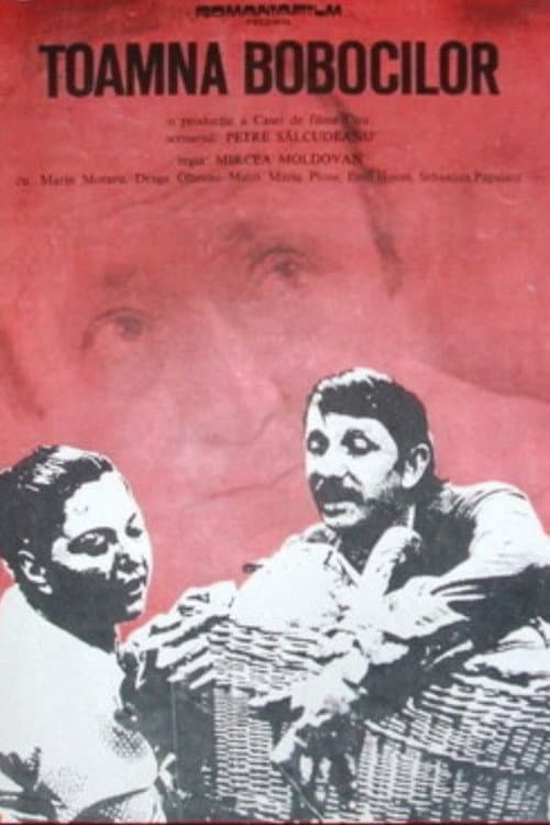 Toamna bobocilor (1975) poster