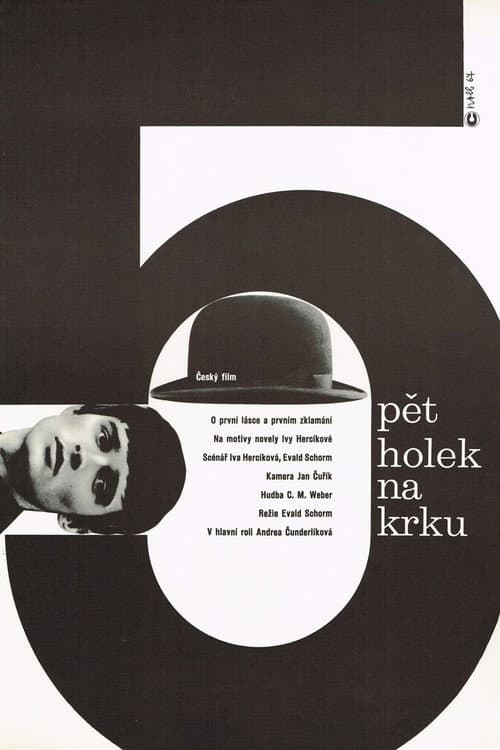 Pět holek na krku (1967) poster