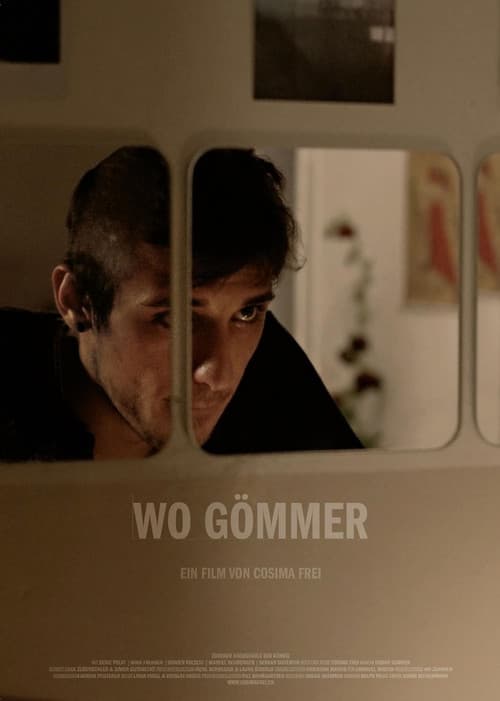 Wo Gömmer (2012) poster