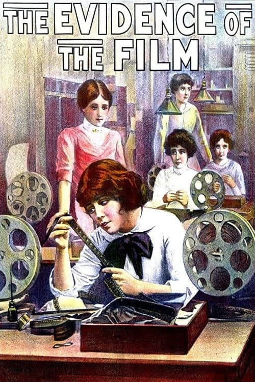 The Evidence of the Film (1913) poster