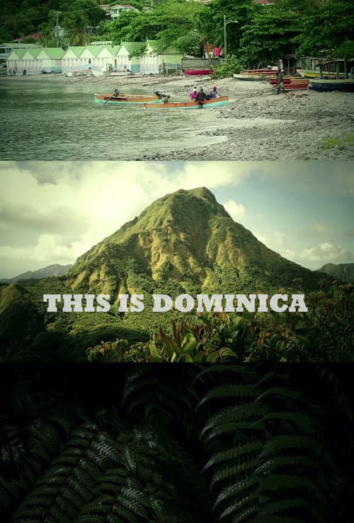 This Is Dominica (2011) poster