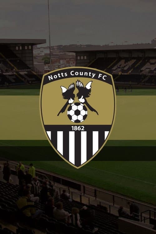 Notts County FC: The Movie (2012) poster