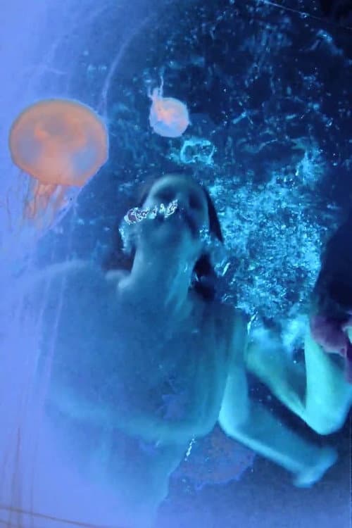 Stargazer (2010) poster