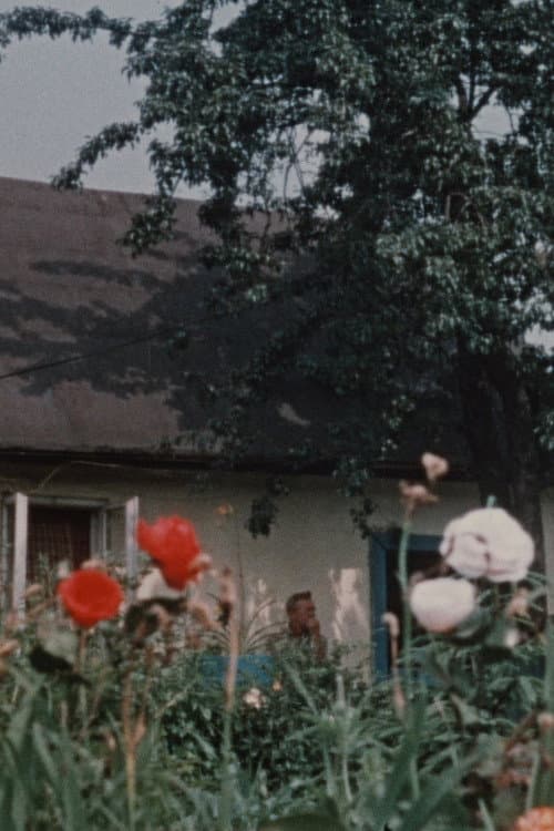 Šťastný Josef (1970) poster