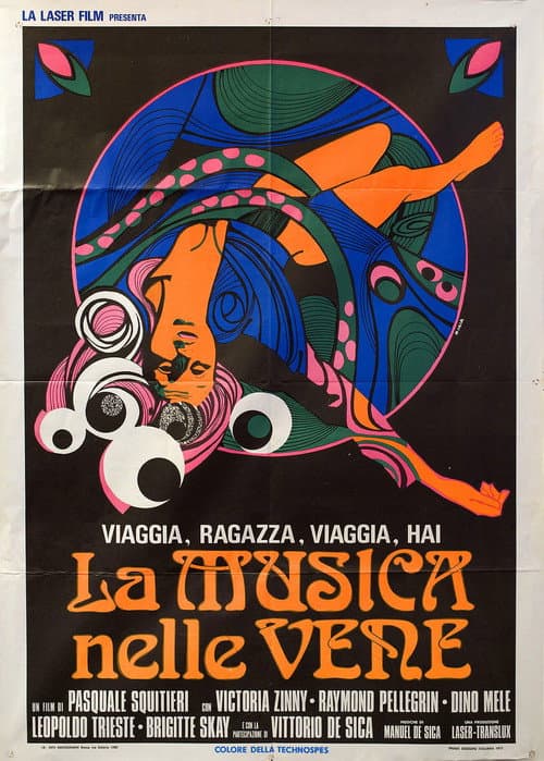 Viaggia, ragazza, viaggia, hai la musica nelle vene (1973) poster