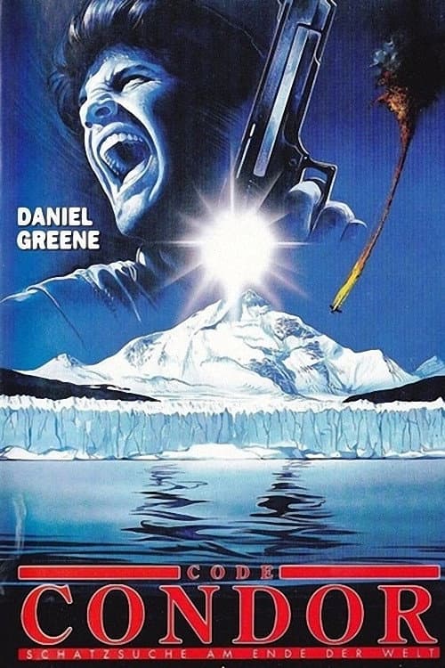 Sulle tracce del condor (1991) poster