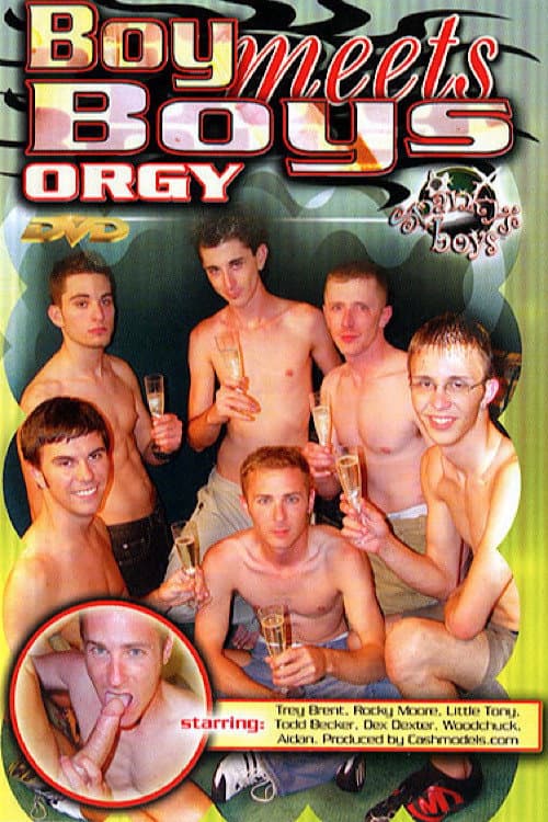 Boy Meets Boys Orgy (2004) poster