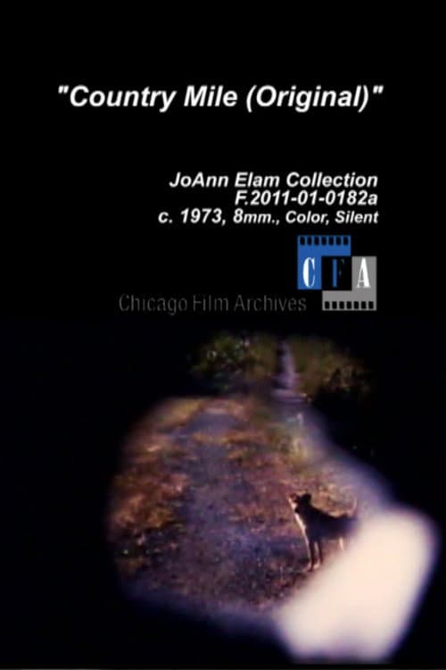 Country Mile (1973) poster