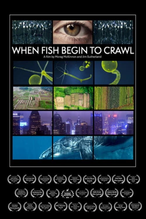 When Fish Begin to Crawl (2023) poster