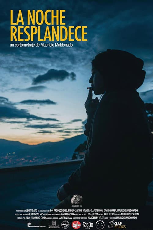 La noche resplandece (2018) poster