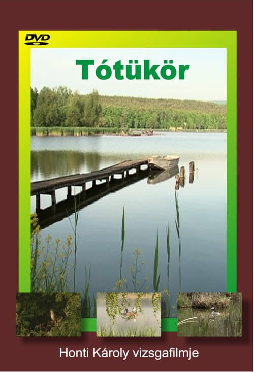 Tótükör (2010) poster