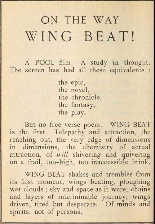 Wing Beat (1927) poster