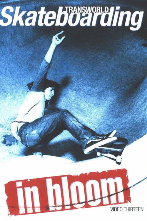 Transworld - In Bloom (2003) poster
