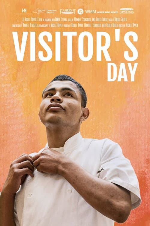 Día de Visita (2017) poster