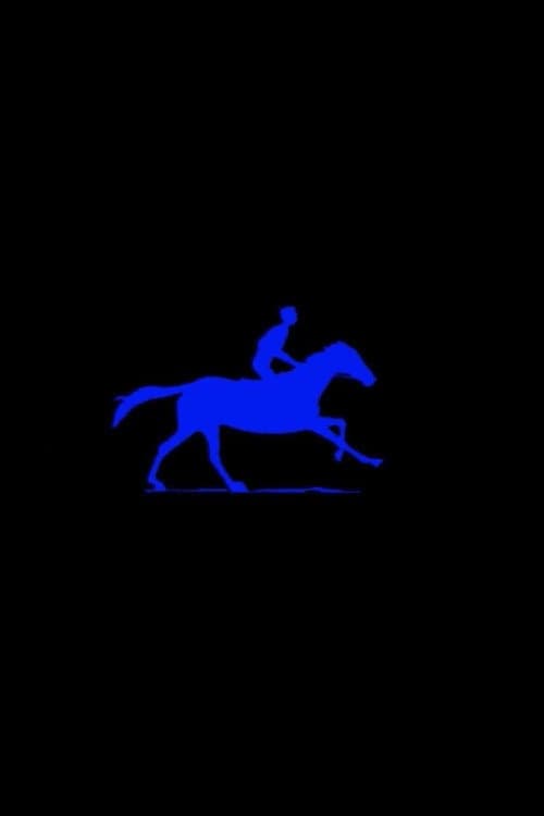 Der Blaue Reiter (2023) poster