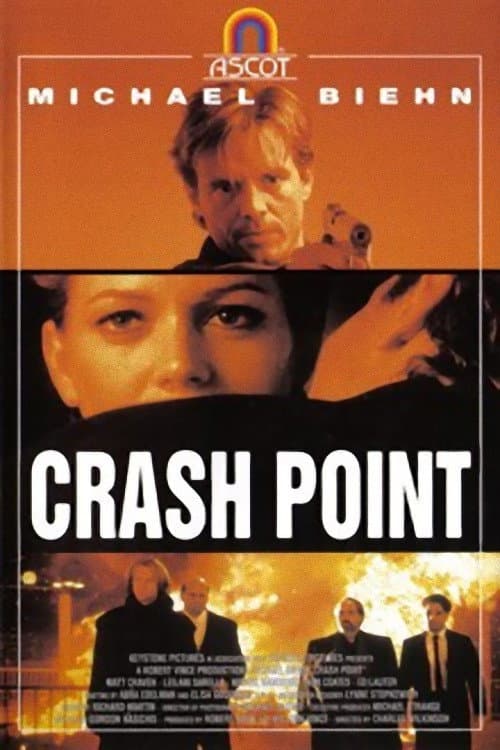 Breach of Trust (1995) poster