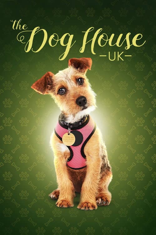The Dog House (2019) poster