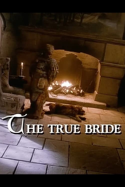 The Storyteller: The True Bride (1988) poster