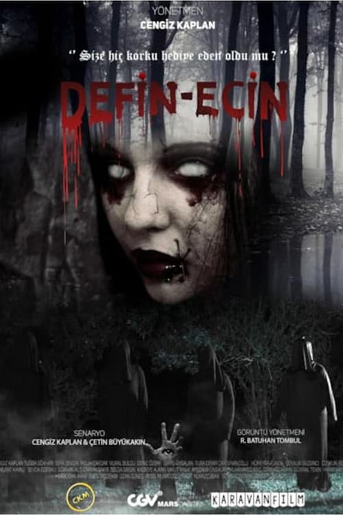 Defin-Ecin Zulman (2021) poster
