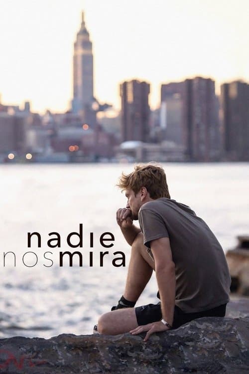 Nadie nos mira (2017) poster