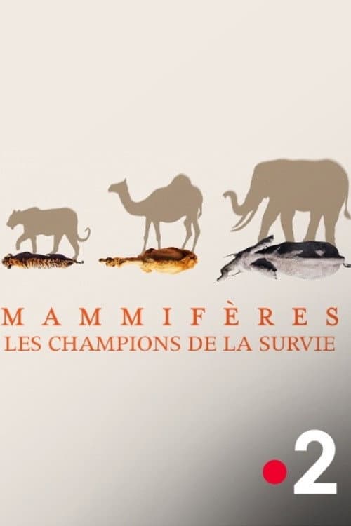 Mammifères, les champions de la survie (2025) poster
