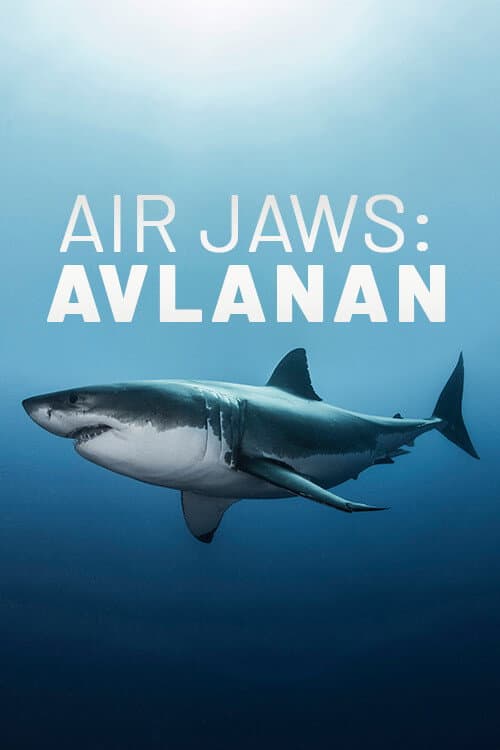 Air Jaws: The Hunted (2018) poster