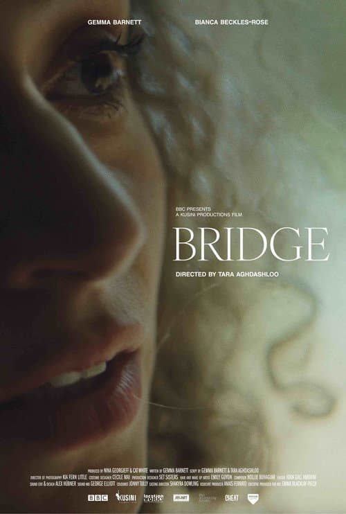Bridge (2023) poster