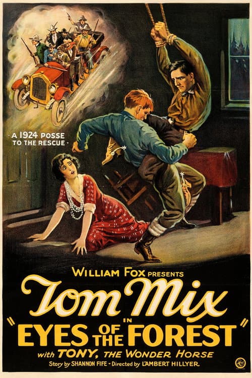 Eyes of the Forest (1923) poster