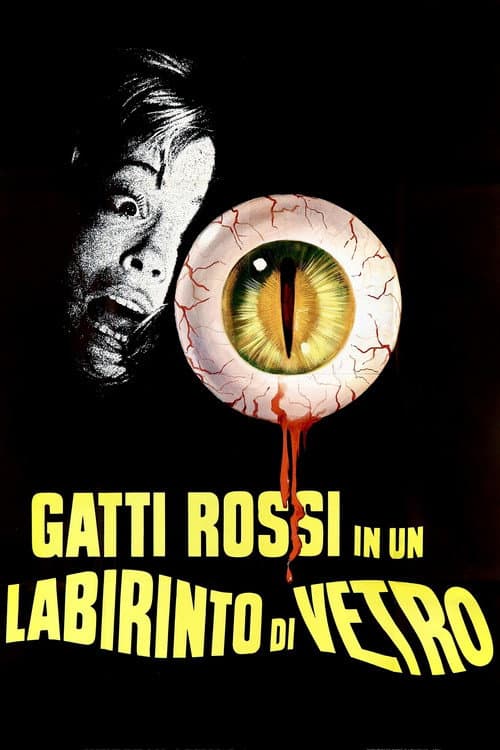 Gatti rossi in un labirinto di vetro (1975) poster