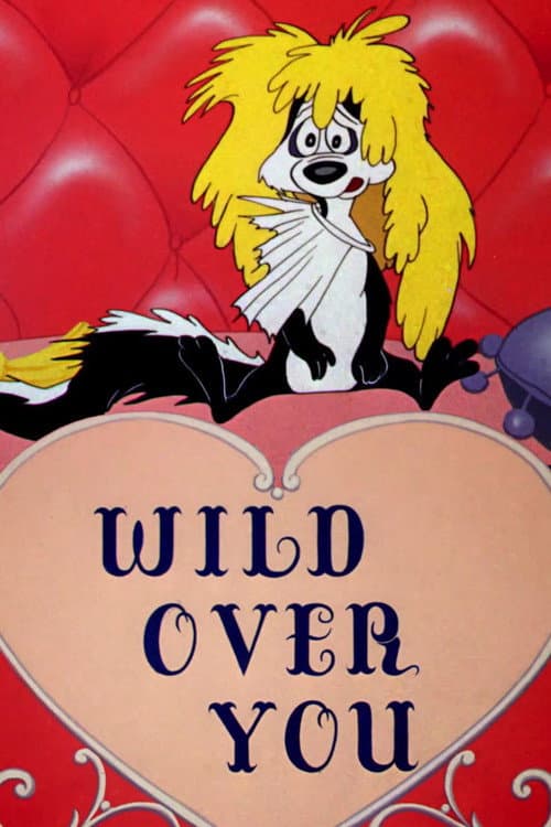 Wild Over You (1953) poster