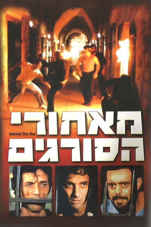 Beyond The Walls (1984) poster