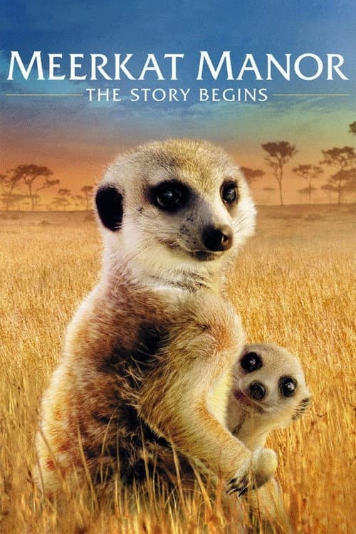 Meerkat Manor: The Story Begins (2008) poster