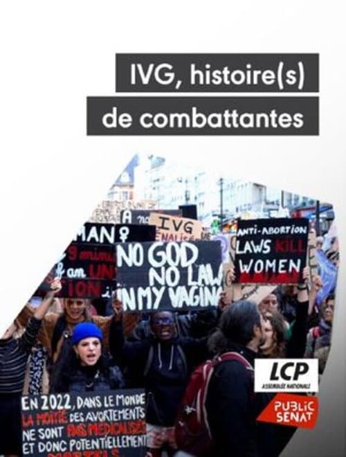 IVG : Histoire(s) de combattantes (2024) poster