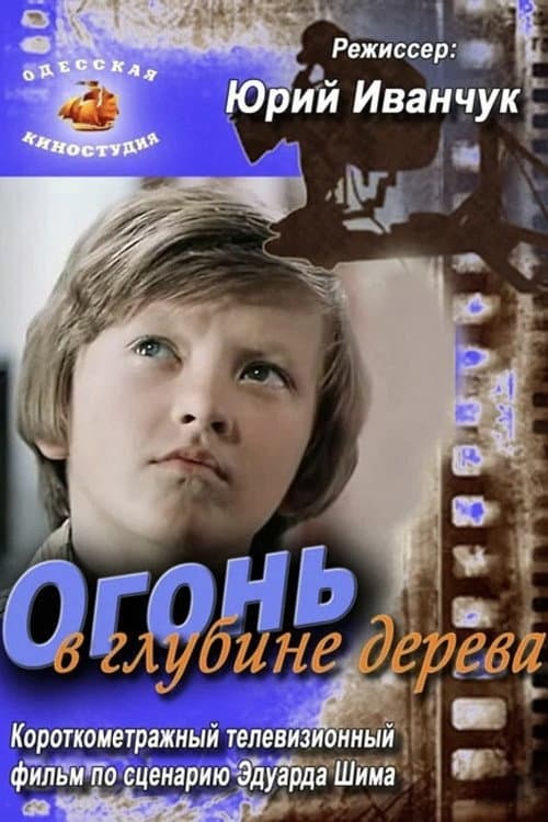 Tuli puus (1978) poster