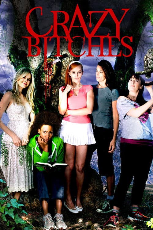 Crazy Bitches (2014) poster