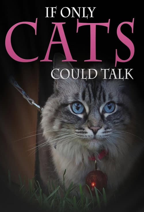 If Only Cats Could Talk (2012) poster