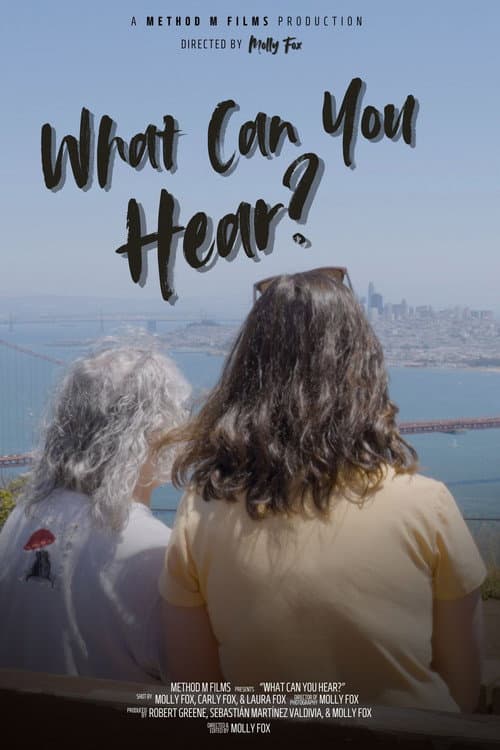 What Can You Hear? (2025) poster