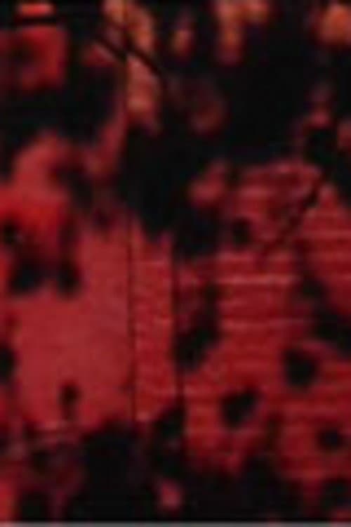Schatten auf roter Wand (2006) poster