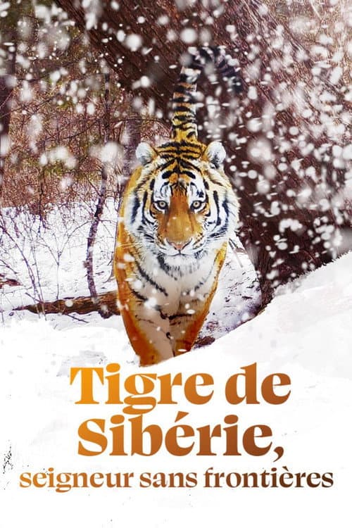 Tigre de Sibérie, seigneur sans frontières (2023) poster