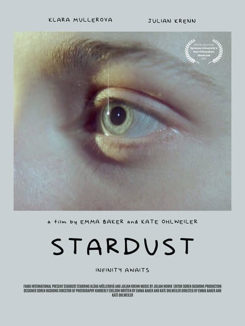 Stardust (2024) poster