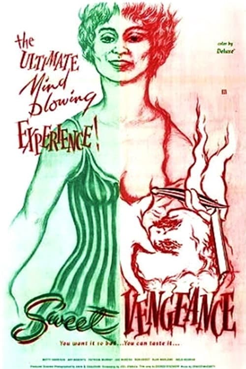 Sweet Vengeance (1970) poster