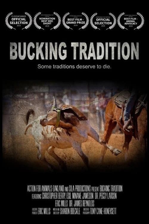 Bucking Tradition (2019) poster