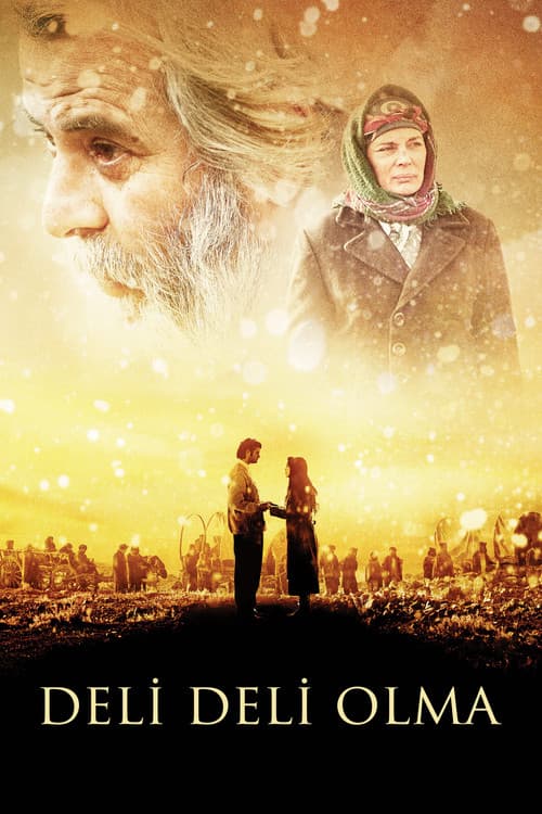Deli Deli Olma (2009) poster
