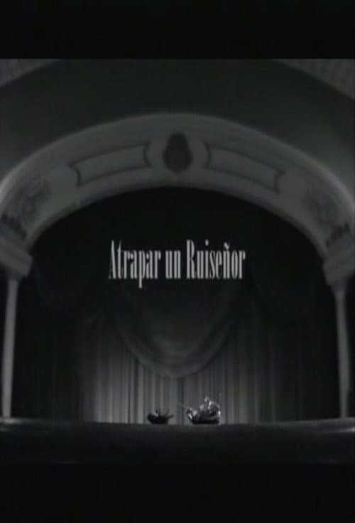 Atrapar un ruiseñor (2005) poster