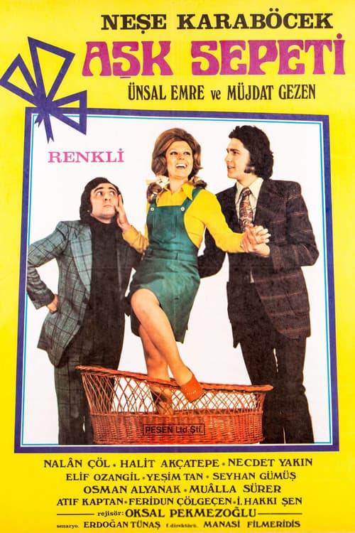 Aşk Sepeti (1972) poster